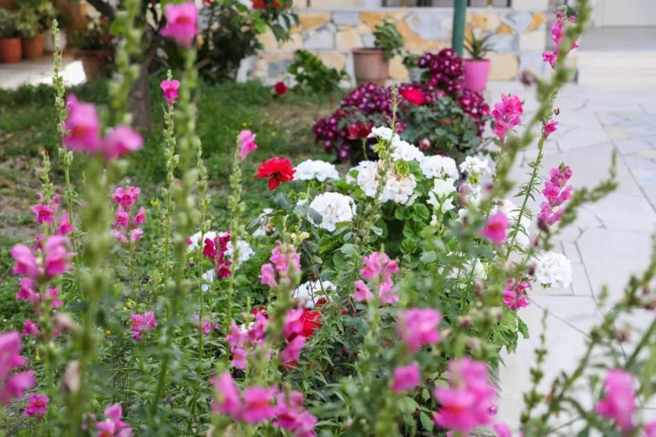 Vila Agolli Vlorë Exteriér fotografie