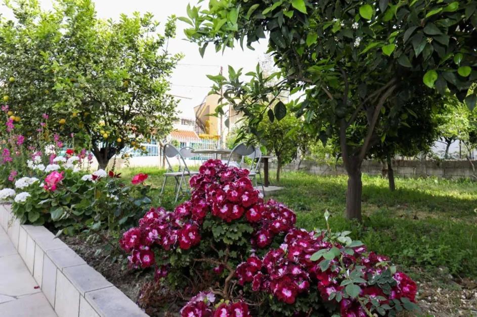 Vila Agolli Vlorë Exteriér fotografie
